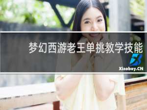 梦幻西游老王单挑教学技能