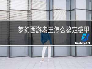 梦幻西游老王怎么鉴定铠甲