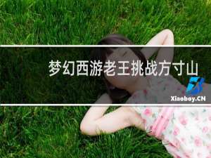 梦幻西游老王挑战方寸山