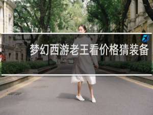 梦幻西游老王看价格猜装备