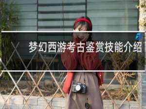 梦幻西游考古鉴赏技能介绍