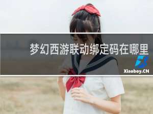 梦幻西游联动绑定码在哪里