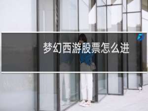 梦幻西游股票怎么进