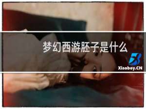 梦幻西游胚子是什么