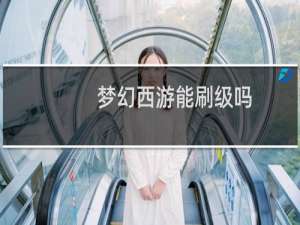 梦幻西游能刷级吗