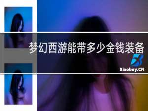 梦幻西游能带多少金钱装备