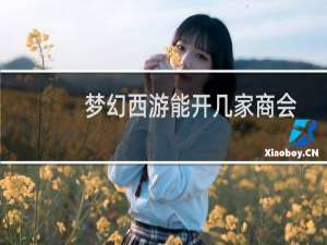 梦幻西游能开几家商会