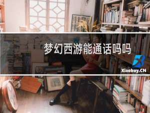 梦幻西游能通话吗吗