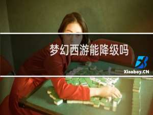 梦幻西游能降级吗