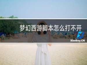 梦幻西游脚本怎么打不开