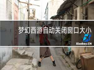 梦幻西游自动关闭窗口大小
