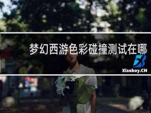 梦幻西游色彩碰撞测试在哪