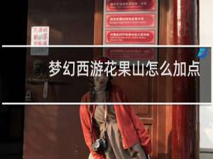 梦幻西游花果山怎么加点