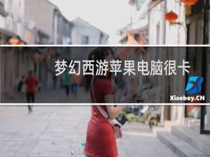 梦幻西游苹果电脑很卡