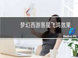 梦幻西游落星飞鸿效果