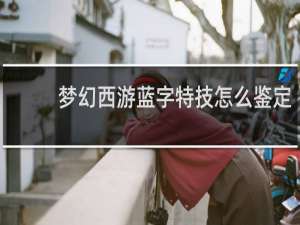 梦幻西游蓝字特技怎么鉴定