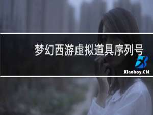 梦幻西游虚拟道具序列号