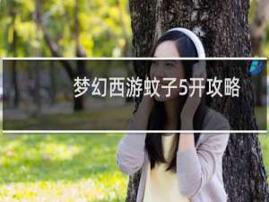 梦幻西游蚊子5开攻略