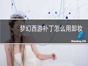 梦幻西游补丁怎么用卸妆