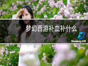 梦幻西游补血补什么