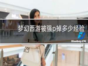 梦幻西游被强p掉多少经验