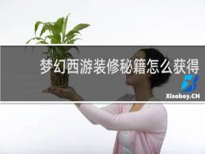 梦幻西游装修秘籍怎么获得