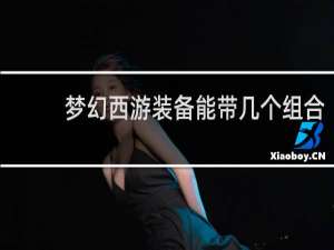 梦幻西游装备能带几个组合