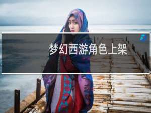 梦幻西游角色上架