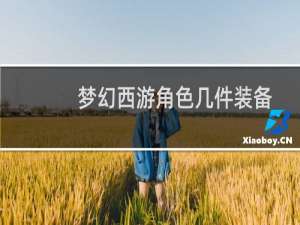 梦幻西游角色几件装备
