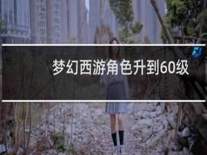 梦幻西游角色升到60级