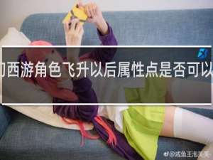 梦幻西游角色飞升以后属性点是否可以重新分配