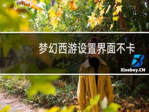 梦幻西游设置界面不卡