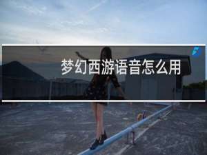 梦幻西游语音怎么用