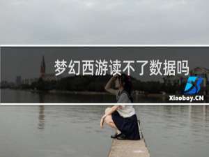 梦幻西游读不了数据吗