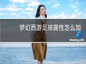 梦幻西游足球属性怎么加