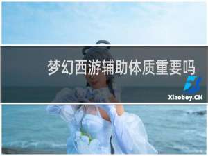 梦幻西游辅助体质重要吗