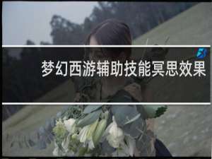 梦幻西游辅助技能冥思效果