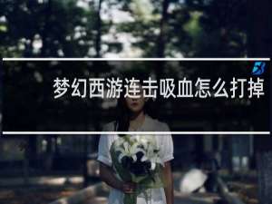 梦幻西游连击吸血怎么打掉