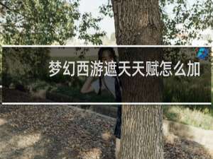 梦幻西游遮天天赋怎么加