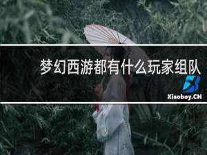 梦幻西游都有什么玩家组队