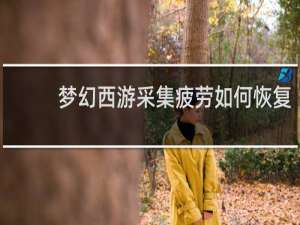 梦幻西游采集疲劳如何恢复