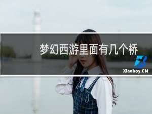 梦幻西游里面有几个桥