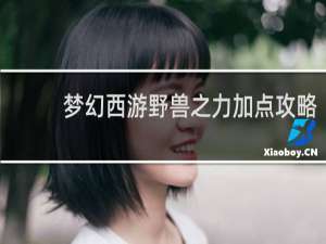 梦幻西游野兽之力加点攻略