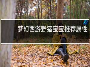 梦幻西游野猪宝宝推荐属性