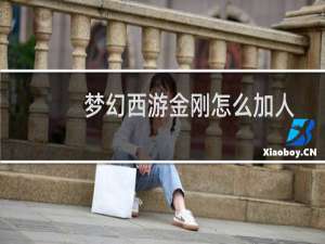 梦幻西游金刚怎么加人