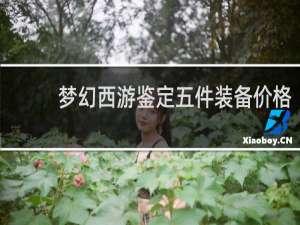 梦幻西游鉴定五件装备价格