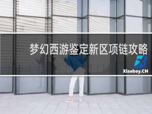 梦幻西游鉴定新区项链攻略