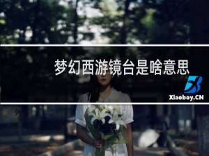 梦幻西游镜台是啥意思