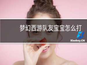 梦幻西游队友宝宝怎么打