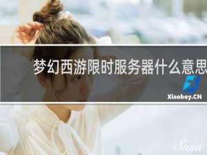 梦幻西游限时服务器什么意思